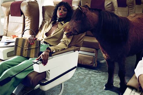 white horses song gucci|gucci horse campaign.